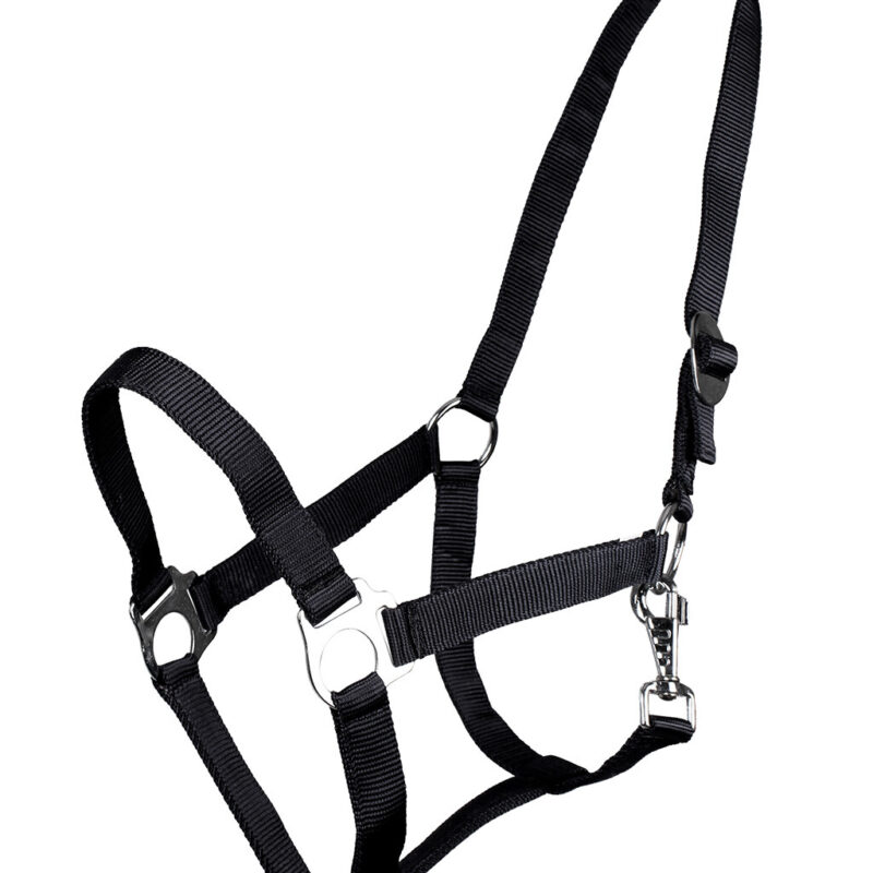Head Collar Economic Slide - Full, Black