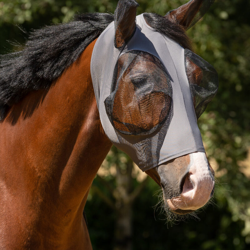 Fly Mask Super bug
