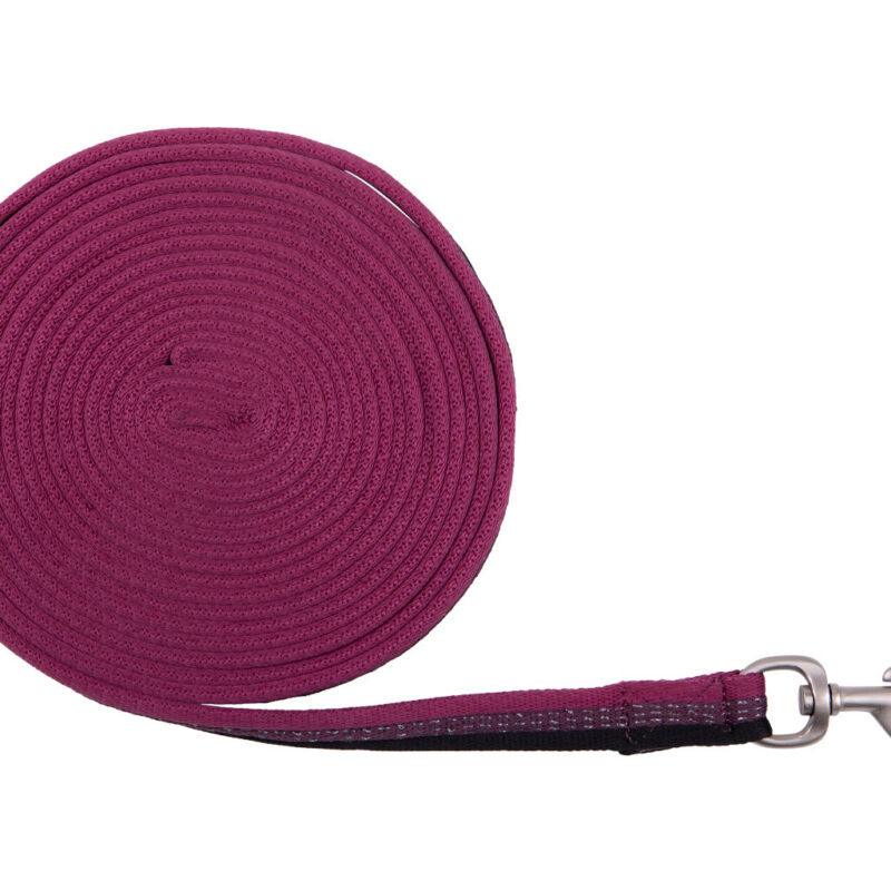 Lunging line collection