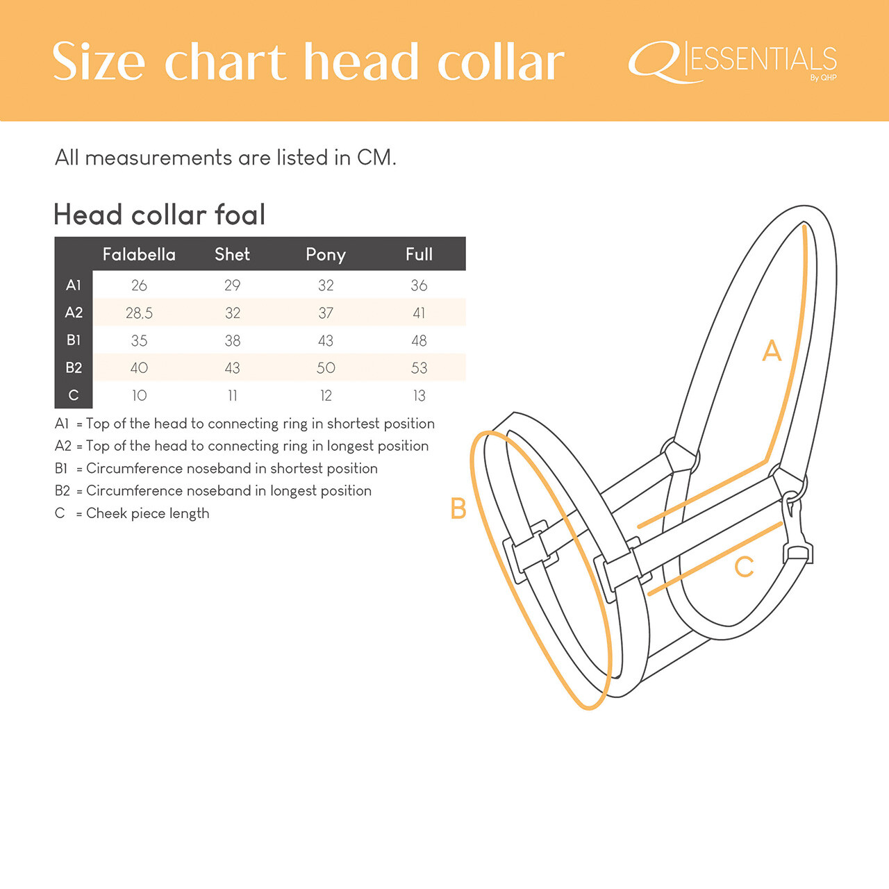 Head collar Pony Foal/ Shet Foal - Image 7