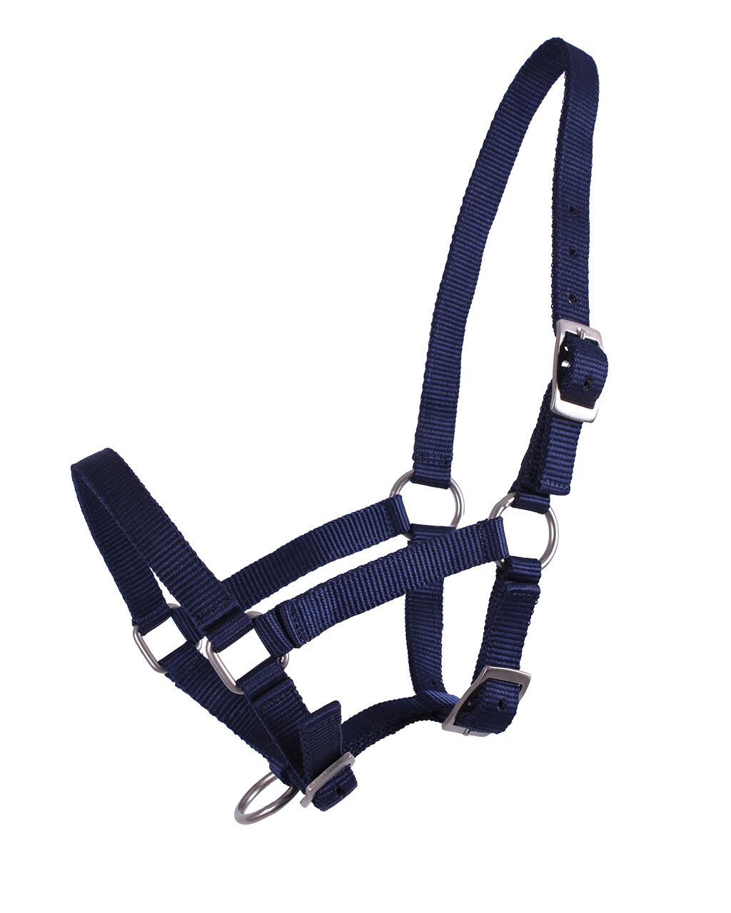 Head collar Pony Foal/ Shet Foal - Image 6