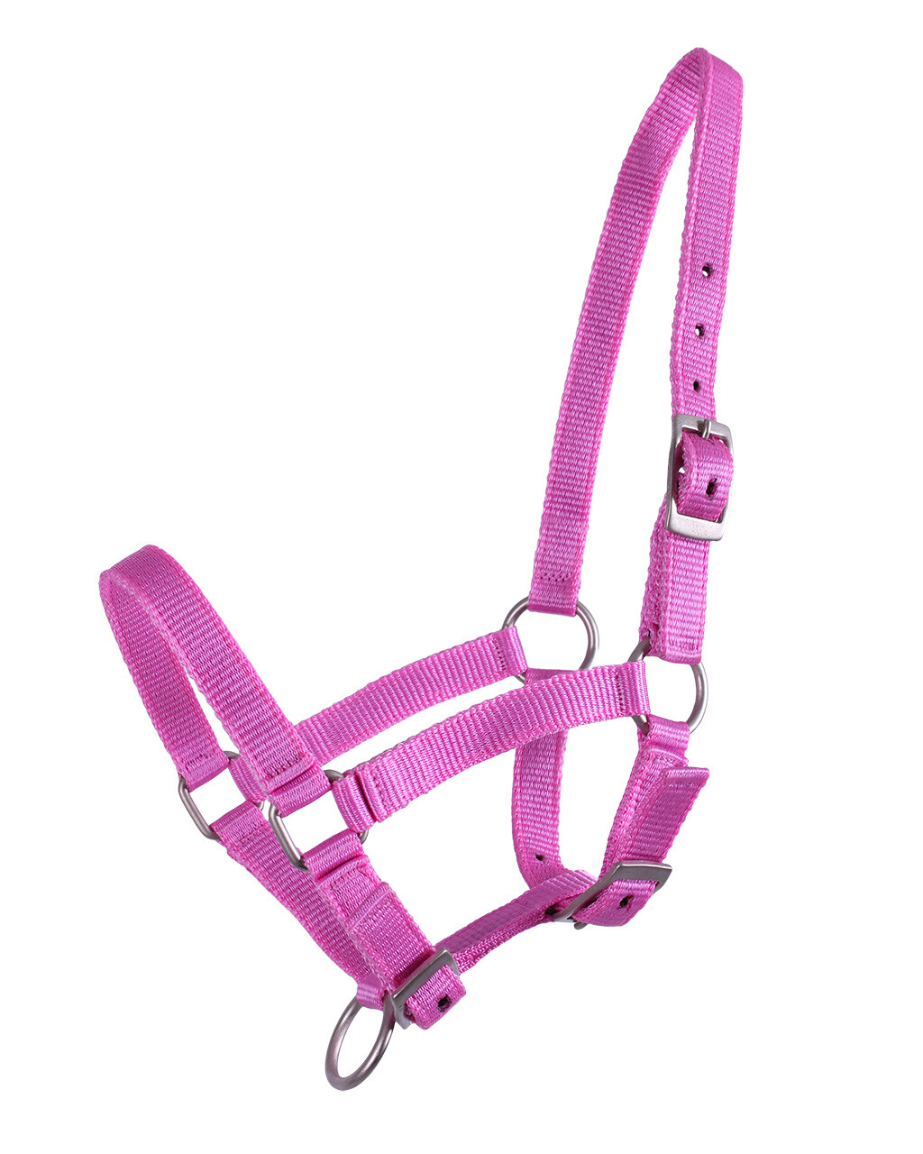 Head collar Pony Foal/ Shet Foal - Image 4