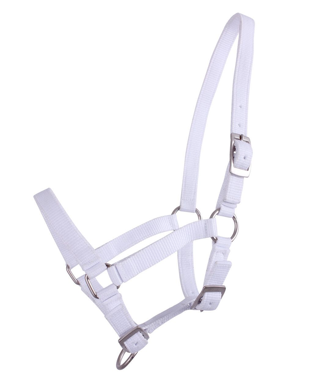 Head collar Pony Foal/ Shet Foal - Image 2