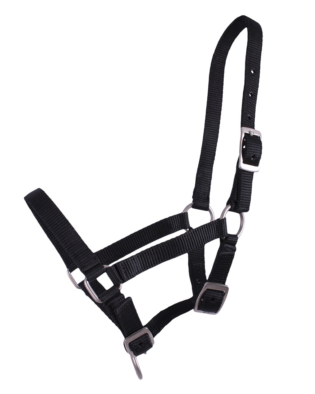 Head collar Pony Foal/ Shet Foal