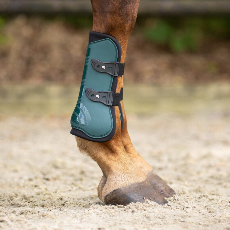 Tendon boots Champion
