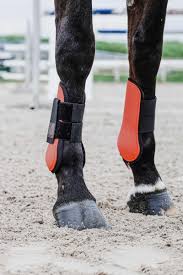EQUITHÈME - Tara - Tendon boots
