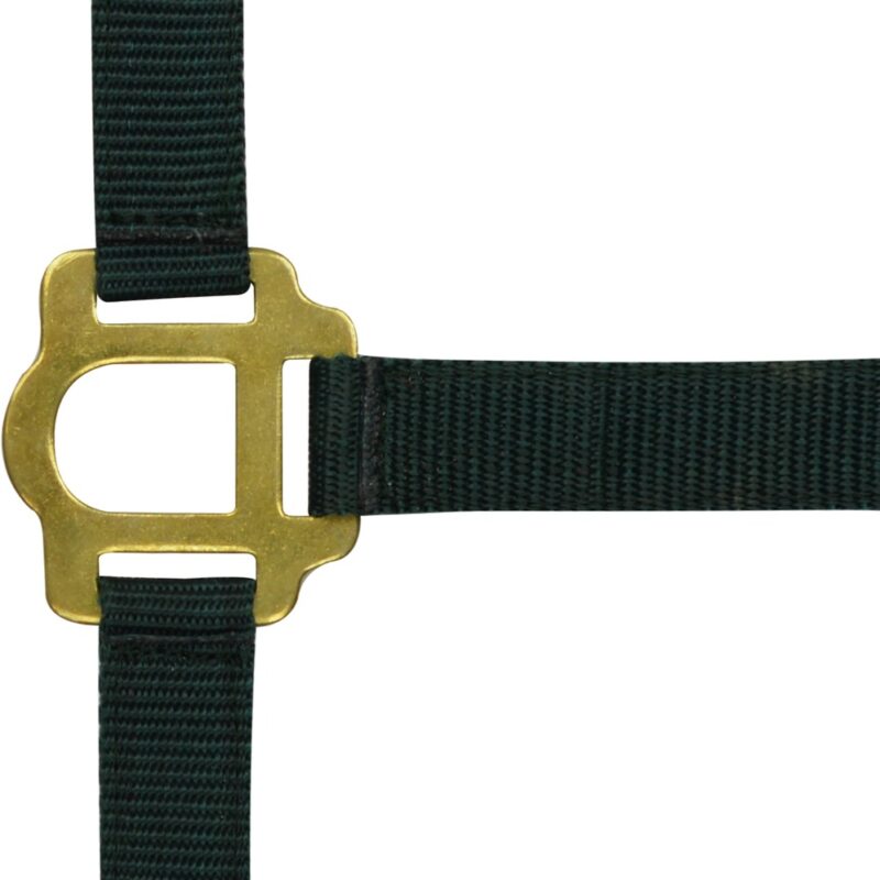 RIDING WORLD Headcollar - Black, Full