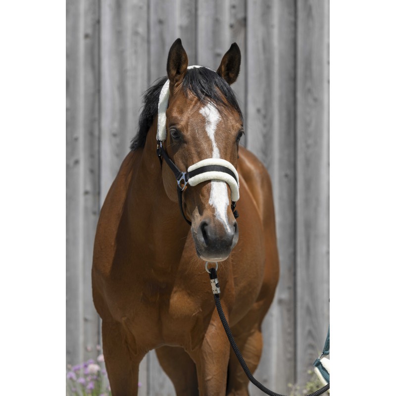 RIDING WORLD Headcollar, synthetic sheepskin