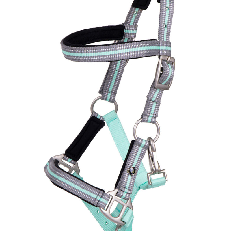 Head collar foal Flore with browband