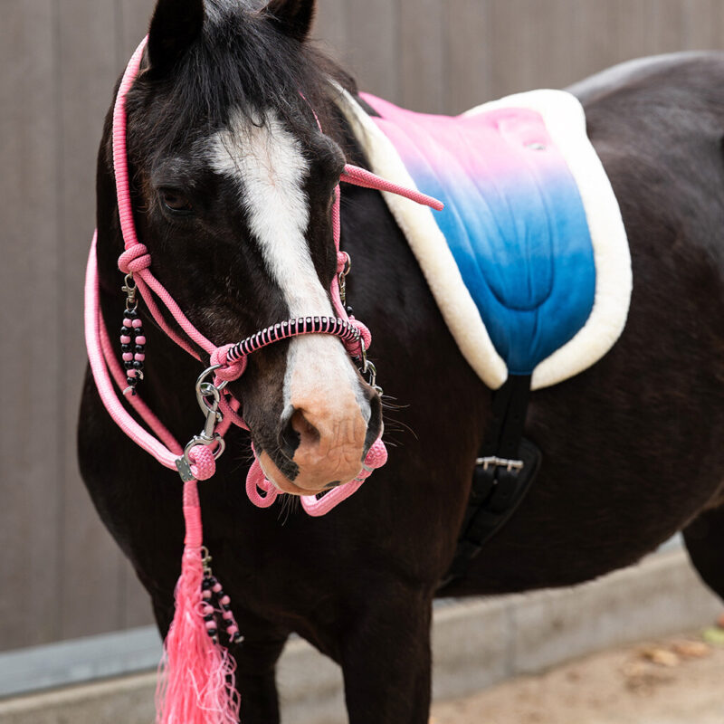 Bareback pad Rosalynn