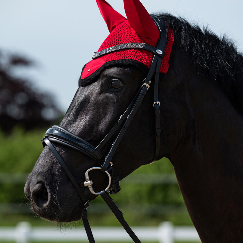 Bridle Lagos incl. reins