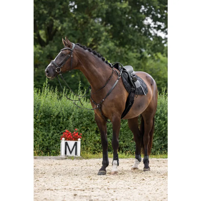 Breastplate