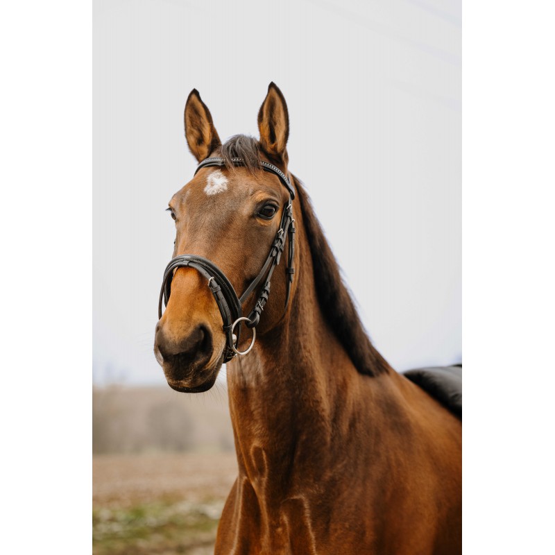 NORTON CLUB - Strass V - Bridle