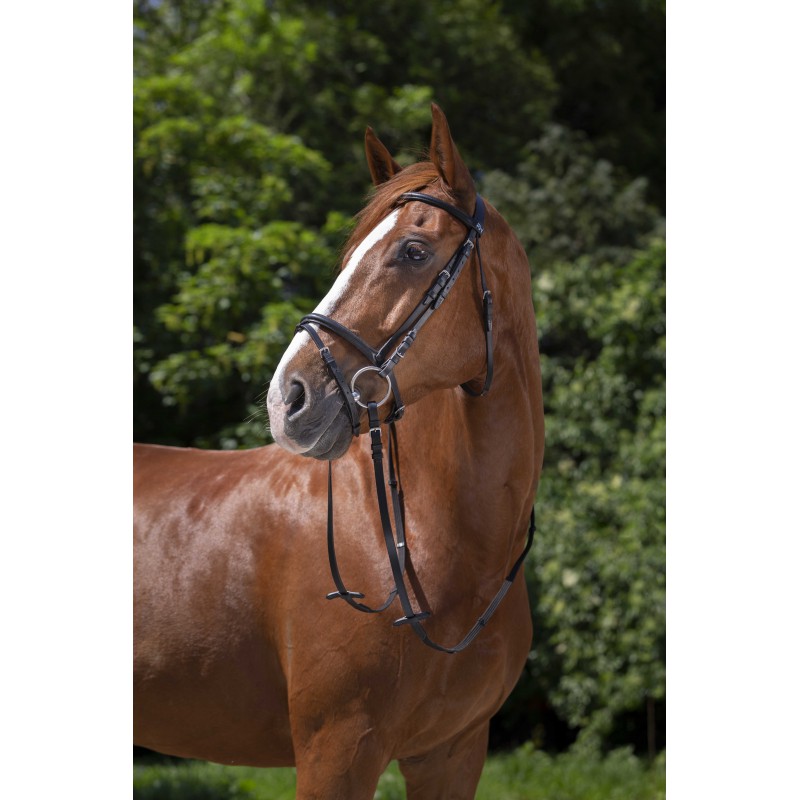 RIDING WORLD - Muserolle Combinée - bridle
